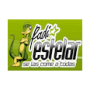 Radio Estelar desde Cañar